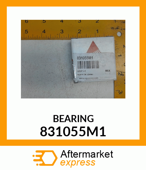 BEARING 831055M1