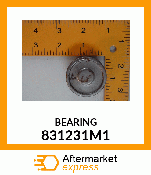 BEARING 831231M1