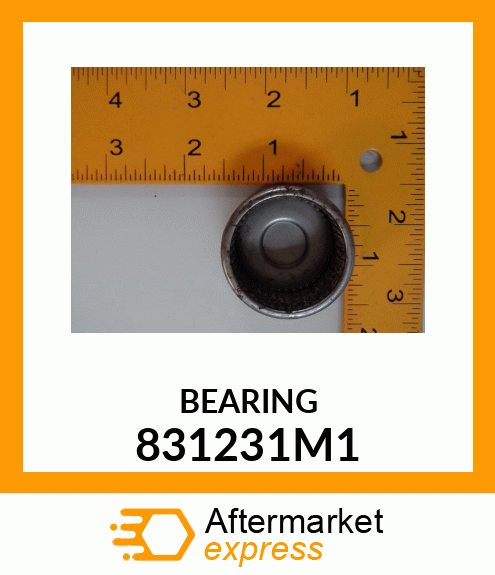 BEARING 831231M1