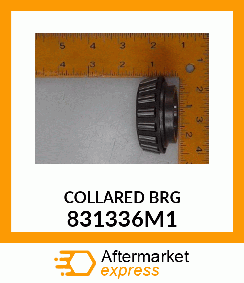 COLLARED_BRG 831336M1