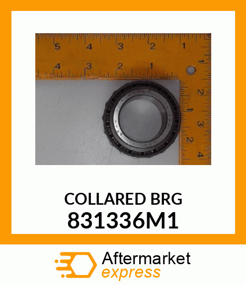 COLLARED_BRG 831336M1