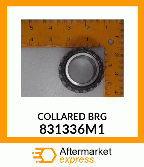 COLLARED_BRG 831336M1