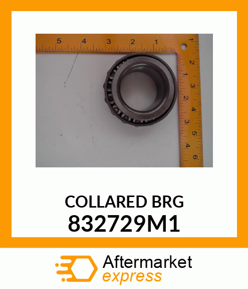 COLLAREDBRG 832729M1