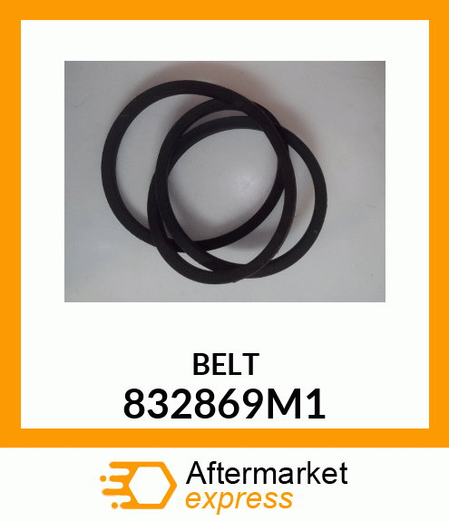 BELT 832869M1