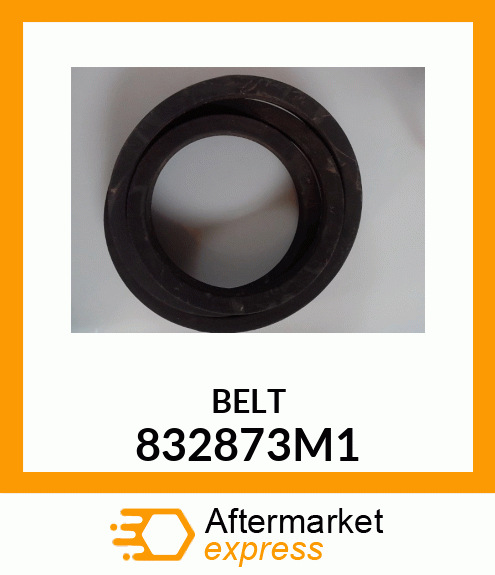 BELT 832873M1