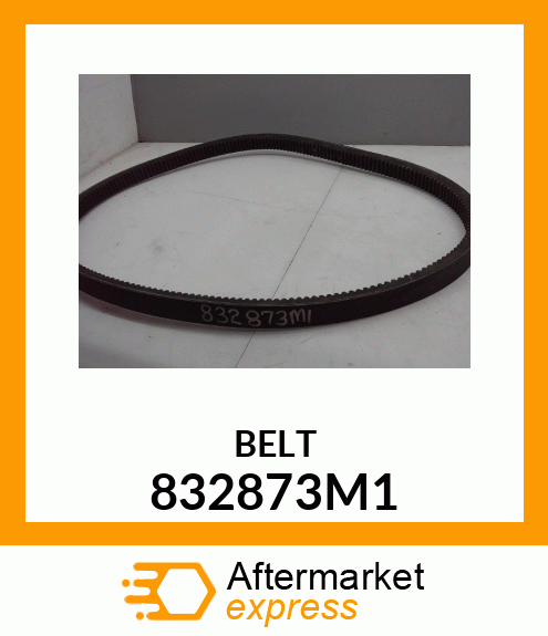 BELT 832873M1