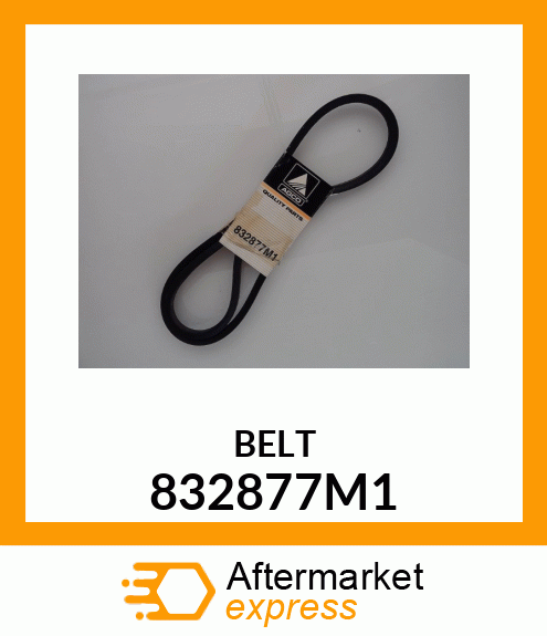 BELT 832877M1