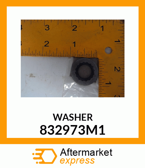 WASHER 832973M1