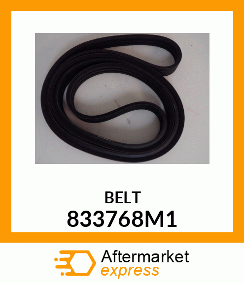 BELT 833768M1