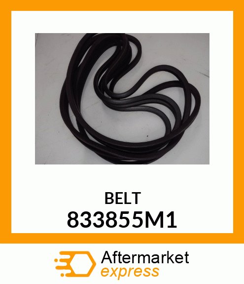 BELT 833855M1