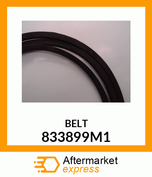 BELT/1 833899M1