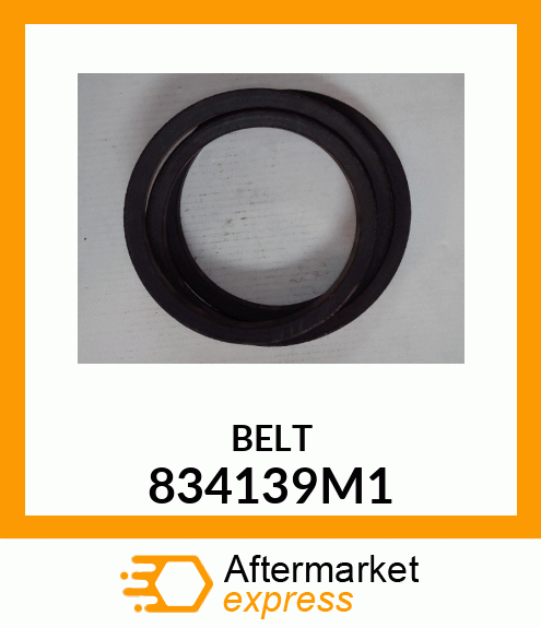 BELT 834139M1