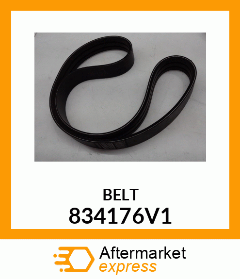 BELT 834176V1