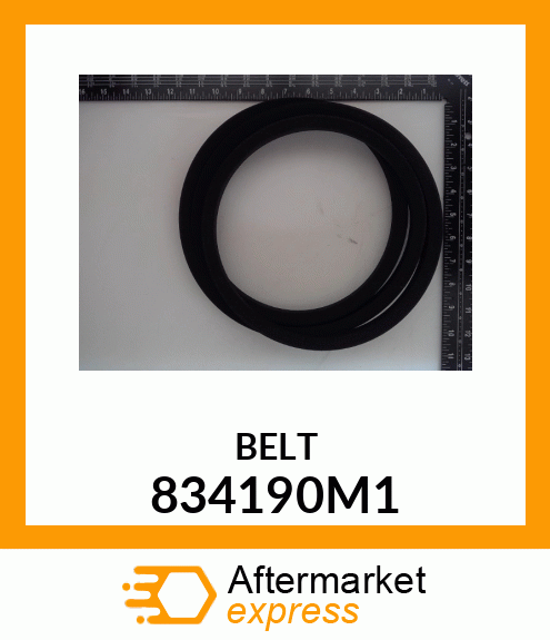 BELT 834190M1