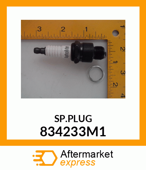 SP.PLUG 834233M1