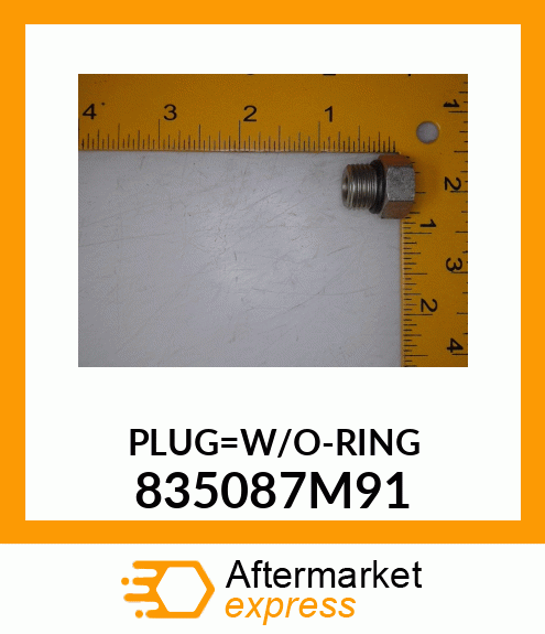 PLUG_W/O-RING 835087M91