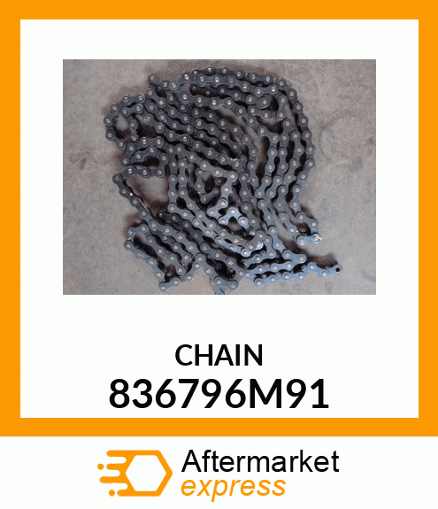 CHAIN 836796M91