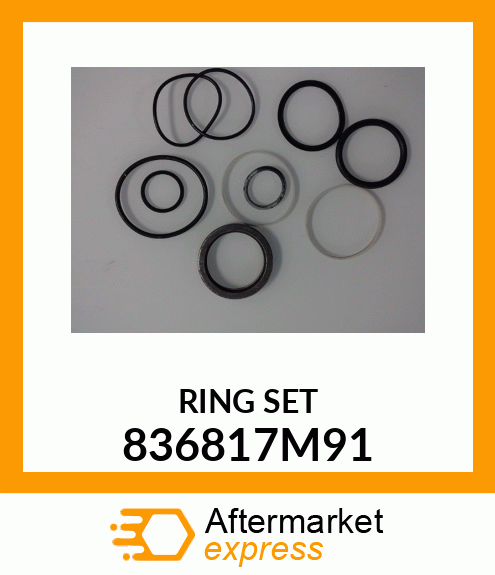 RING_SET 836817M91