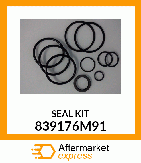 SEAL_KIT_10PC 839176M91