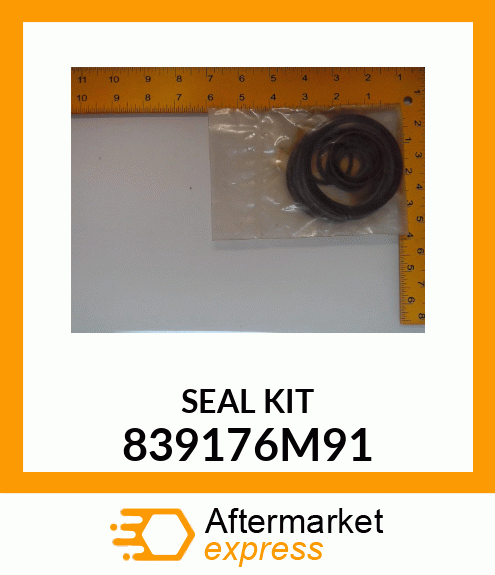 SEAL_KIT_10PC 839176M91