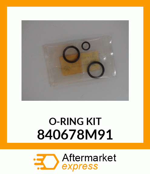 ORINGKIT3PC 840678M91