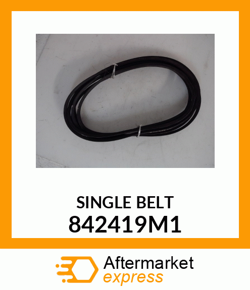 SINGLE_BELT 842419M1