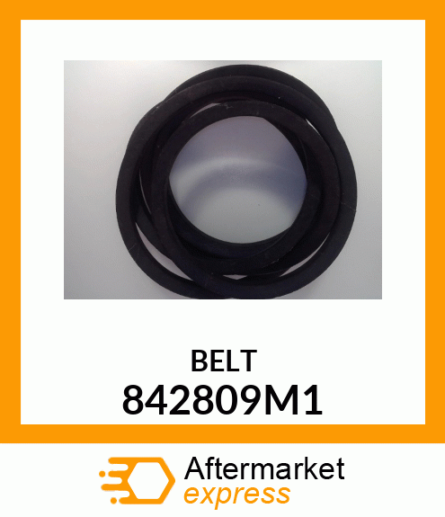 BELT 842809M1