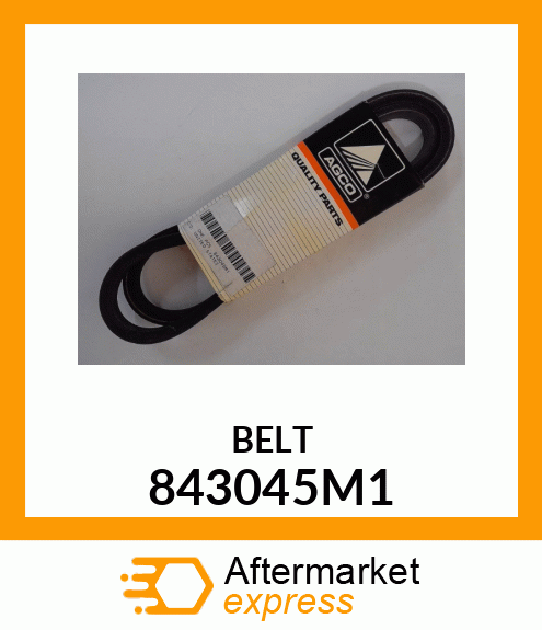 BELT 843045M1