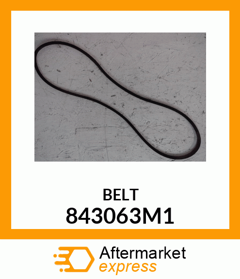 BELT 843063M1