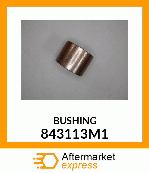 BUSHING 843113M1