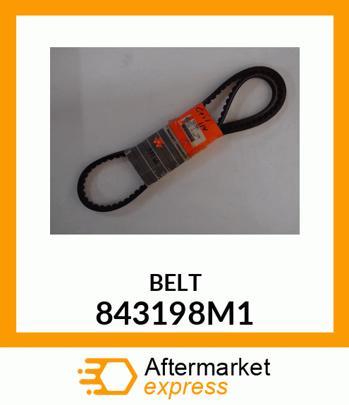 BELTOEM 843198M1