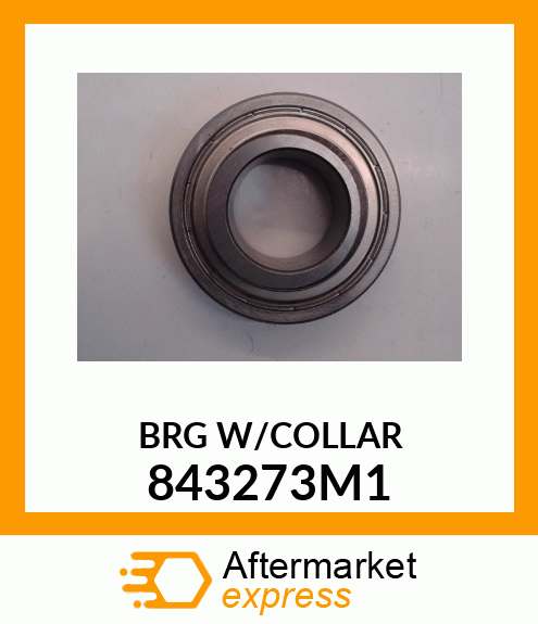 BRG W/COLLAR 843273M1