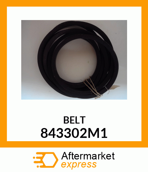 BELT 843302M1