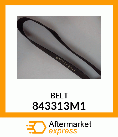 BELT 843313M1