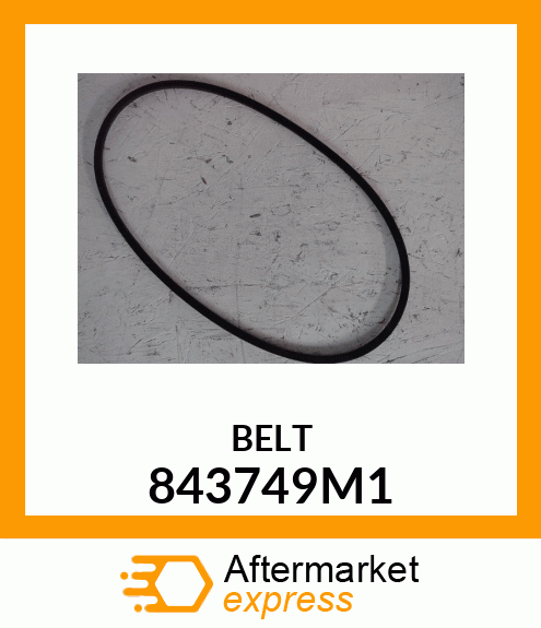 BELT 843749M1