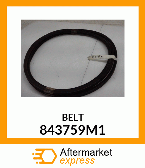 BELT 843759M1