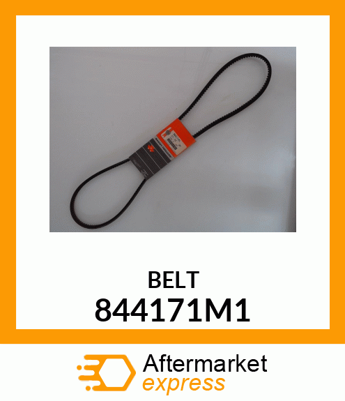 BELT 844171M1