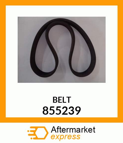 BELT 855239