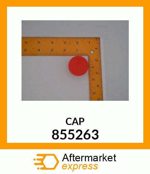 CAP 855263