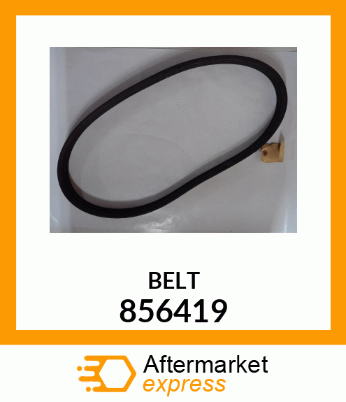 BELT 856419