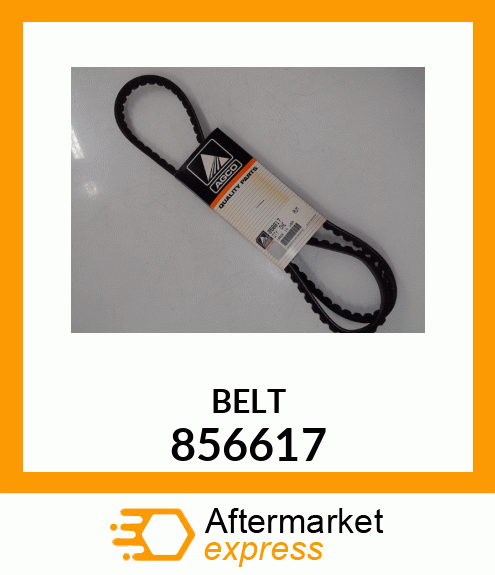 BELT 856617