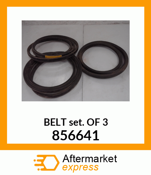 BELTSETOF3 856641