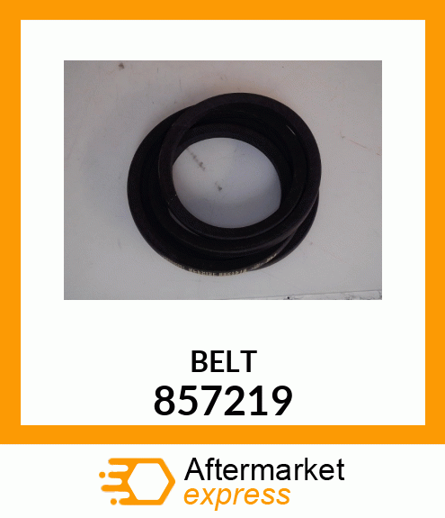 BELT 857219