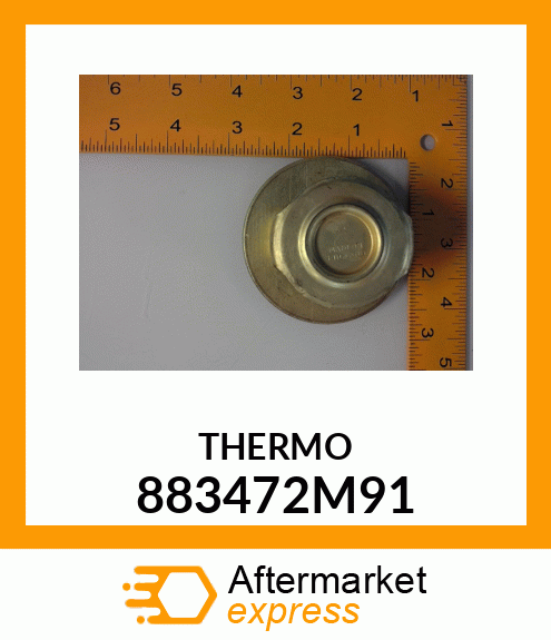 THERMO 883472M91