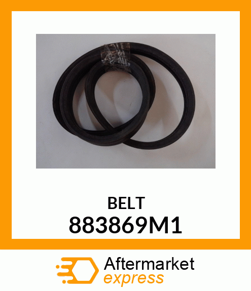 BELT 883869M1