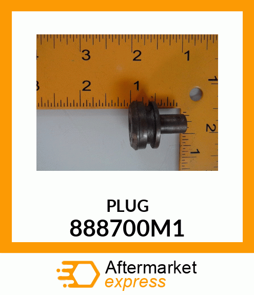 PLUG 888700M1