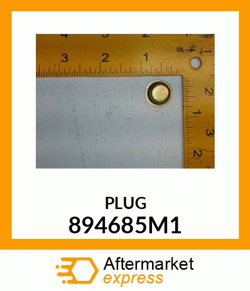 PLUG 894685M1