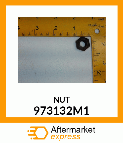 NUT 973132M1