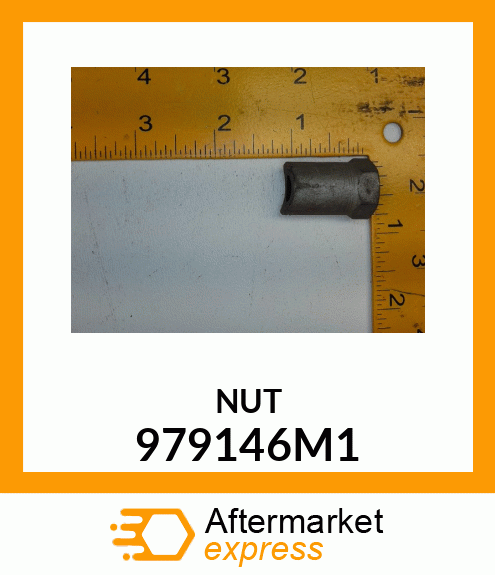 NUT 979146M1