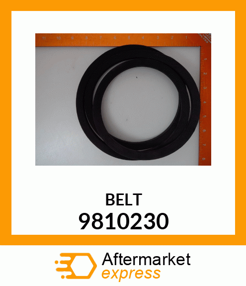 BELT 9810230